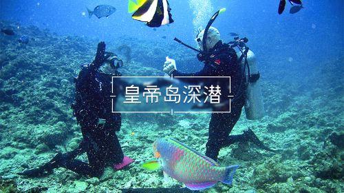 孔雀逃生