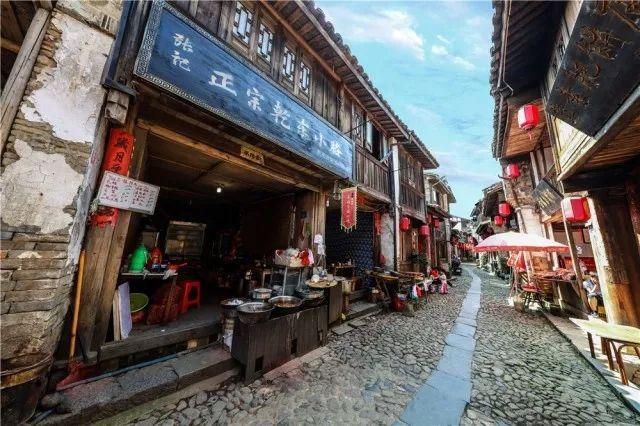 动物帮帮忙保卫家园